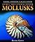 Snails, Shellfish, & Other Mollusks by Daniel Gilpin