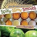 Spiky, Slimy, Smooth: What Is Texture?