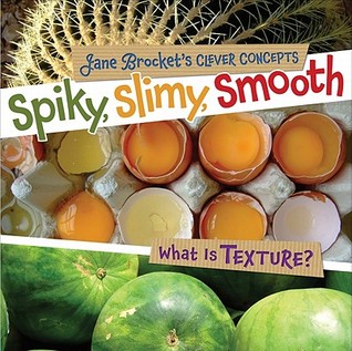Spiky, Slimy, Smooth: What Is Texture? (Jane Brocket's Clever Concepts)