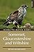 WHERE TO WATCH BIRDS SOMERSET, GLOUCESTERSHIRE AND WILTSHIRE