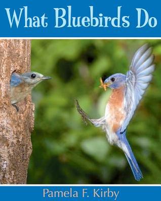 What Bluebirds Do (Hardcover)