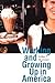 Working and Growing Up in America (Adolescent Lives)