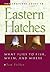 The Complete Guide To Eastern Hatches: What Flies to Fish, When, and Where