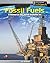 Fossil Fuels: A Resource Our World Depends on (Heinemann InfoSearch, Managing Our Resources)