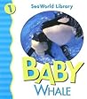 Baby Killer Whale San Diego Zoo (Seaworld Library)