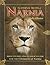 The Eternal Truths of Narnia: Bible Studies and Leader's Guide
