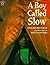 A Boy Called Slow (Paperstar Book)