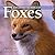 Exploring the World of Foxes