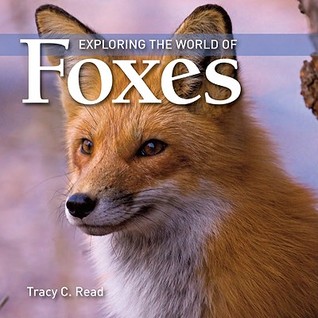 Exploring the World of Foxes (Paperback)