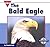 The Bald Eagle (Let's See Library - Our Nation)