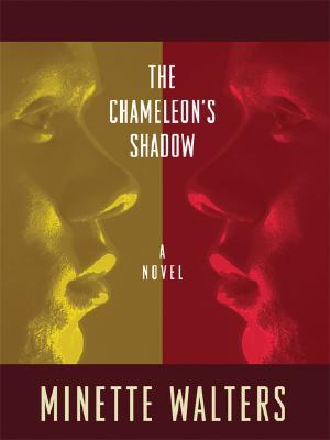 The Chameleon's Shadow