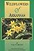 Wildflowers of Arkansas by Carl G. Hunter