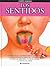 Los sentidos (Spanish Edition)