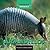 Armadillos (Animals Animals)