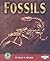 Fossils (Early Bird Earth Science)