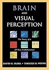 Brain and Visual Perception: The Story of a 25-Year Collaboration
