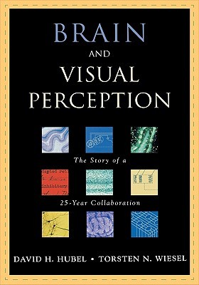 Brain and Visual Perception: The Story of a 25-Year Collaboration (Hardcover)