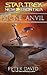 Stone and Anvil (Star Trek: New Frontier, #14)
