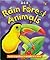 Rain Forest Animals