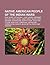 Native American People of the Indian Wars: Blue Jacket, Sitting Bull, Chief Joseph, Geronimo, Cochise, Crazy Horse, Joseph Brant, Black Hawk