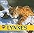 Lynxes (Cats of the Wild)