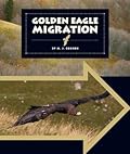 Golden Eagle Migration
