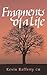 Fragments of a Life by Kevin Rafferty