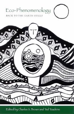 Eco-Phenomenology: Back to the Earth Itself (Environ Philosophy Ethics)