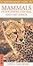 A Photographic Guide to Mammals Of Southern And East Africa by Chris Stuart