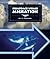 Humpback Whale Migration