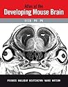 Atlas of the Developing Mouse Brain: E17.5, P0 and P6