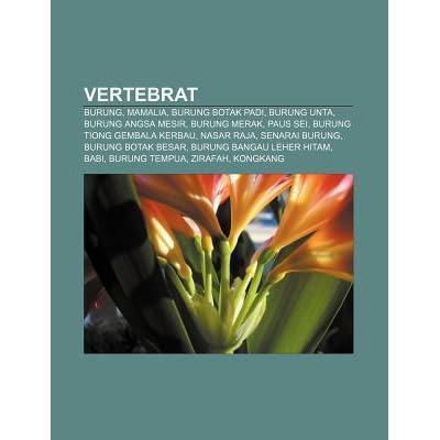 Vertebrat Burung Mamalia Burung Botak Padi Burung Unta Burung