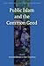 Public Islam and the Common Good (Social, Economic and Political Studies of the Middle East an)