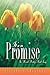 It's a Promise by Elizabeth Shepherd