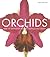 Orchids
