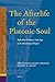 The Afterlife of the Platonic Soul by Maha Elkaisy-Friemuth