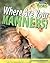 Where Are Your Manners?: Cultural Diversity (Raintree Fusion: Social Studies)