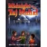 Midnight at the Taj Mahal by Brynn Olenberg Sugarman
