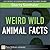 Weird Wild Animal Facts by Sherry Seethaler