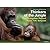 Thinkers of the Jungle: The Orangutan Report- Pictures, Facts, Background