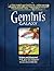 Gemini's Galaxy