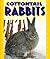 Cottontail Rabbits (Pull Ahead Books ― Animals)