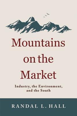 Mountains on the Market: Industry, the Environment, and the South (New Directions In Southern History)