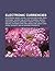Electronic Currencies: Electronic Money, Paypal, PlayStation Store, Orca Platform, Tencent Qq, Bitcoin, Stormpay, Neovia, Nintendo Points