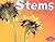 Stems (Plant Parts)