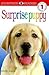 Surprise Puppy by Judith Hodge