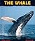 The Whale: Giant of the Ocean (Animal Close-Ups)
