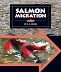 Salmon Migration