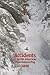 Accidents in North American Mountaineering 2010