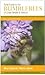 Field Guide to the Bumblebe...